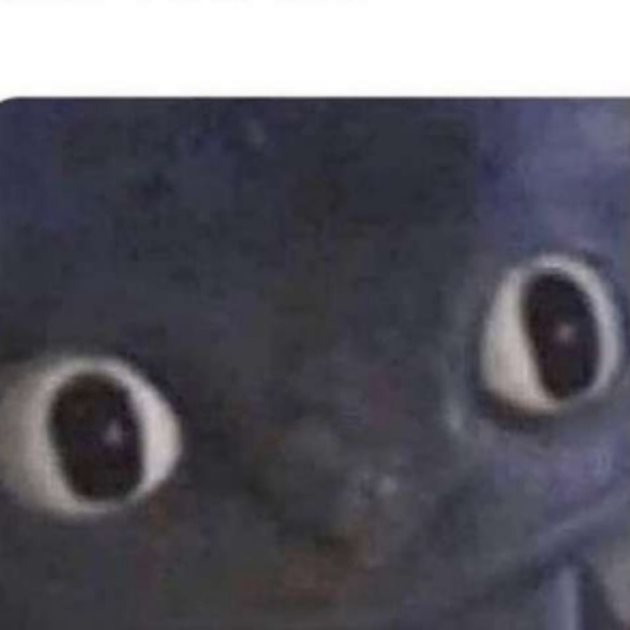 Meet your Posher, Ava - Picture 1 of 1